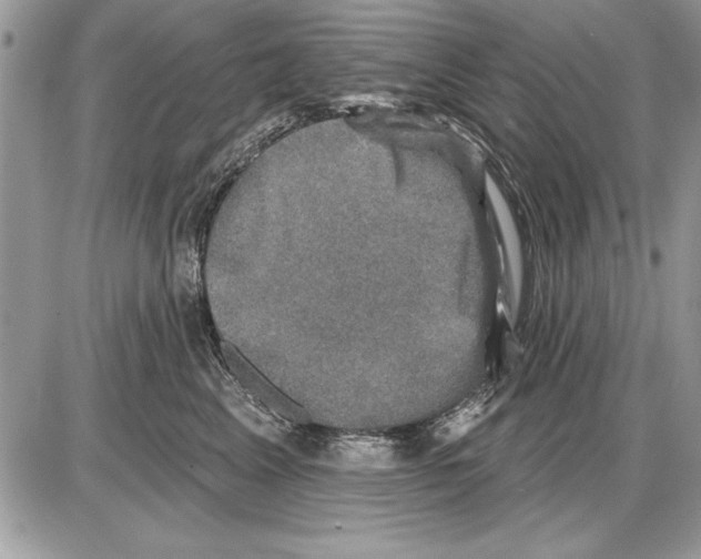 X0000085770617200704131805