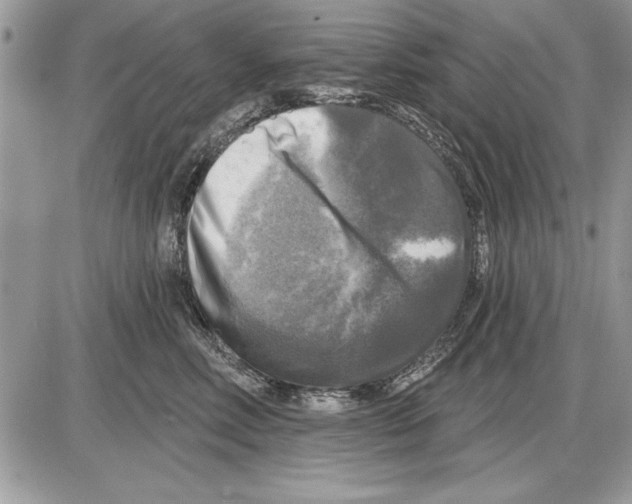 X0000085770618200704131805