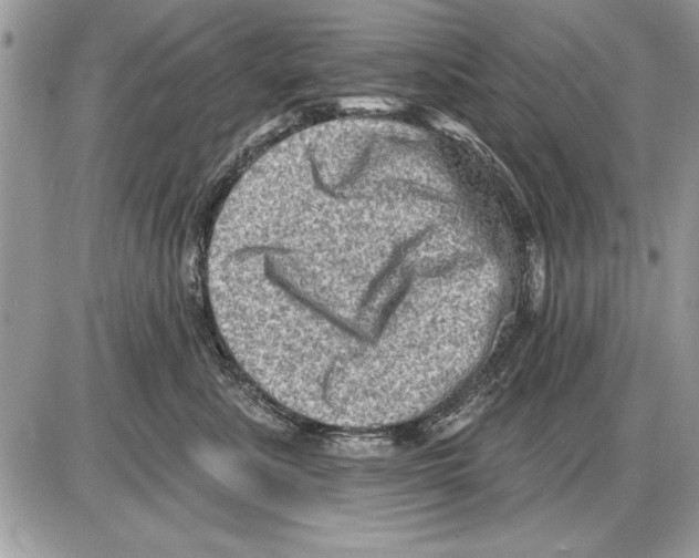 X0000085770619200704131805