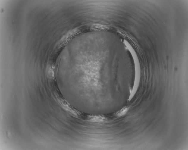 X0000085770621200704131805