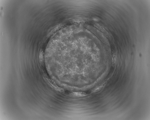 X0000085770623200704131805