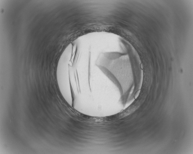 X0000085770624200704131805