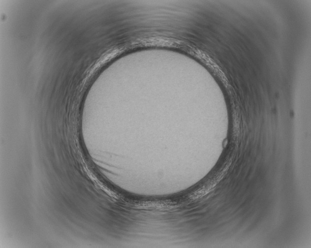 X0000085770625200704131804