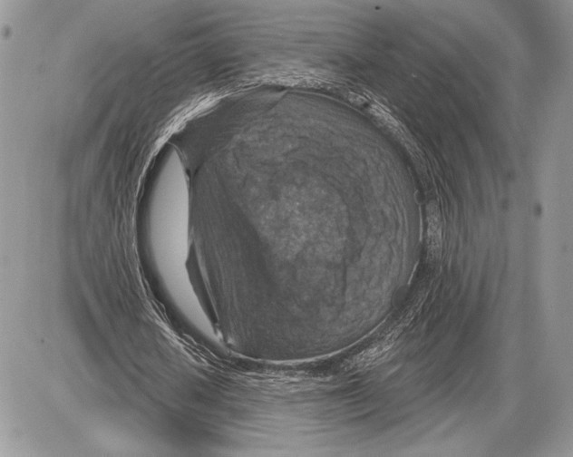 X0000085770626200704131804