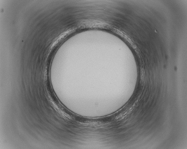 X0000085770629200704131804