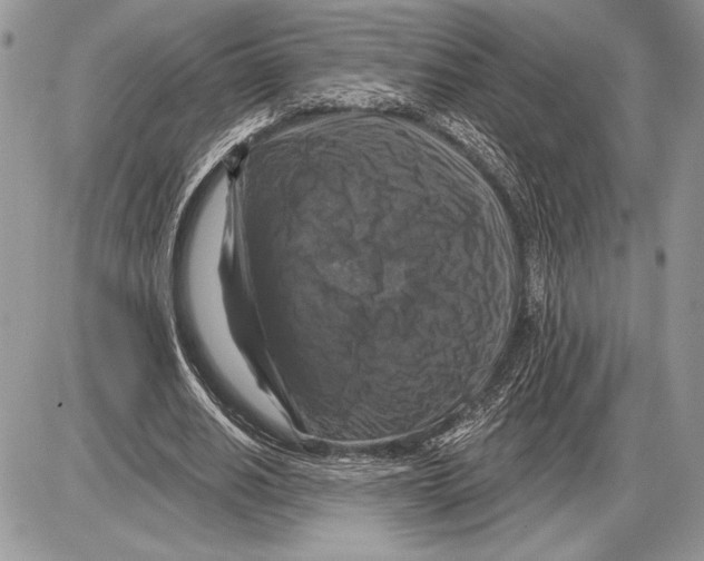 X0000085770630200704131804