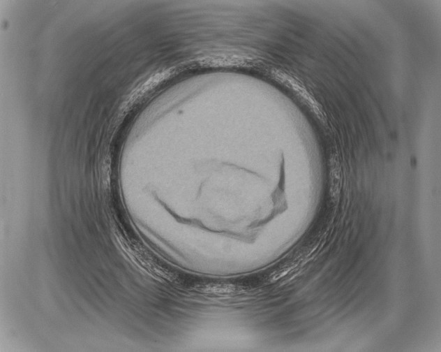 X0000085770631200704131804