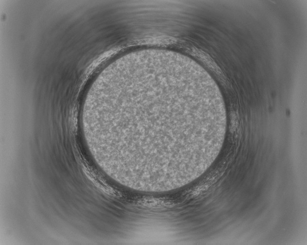 X0000085770632200704131804