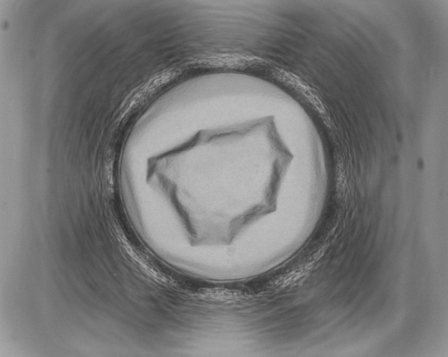 X0000085770633200704131804