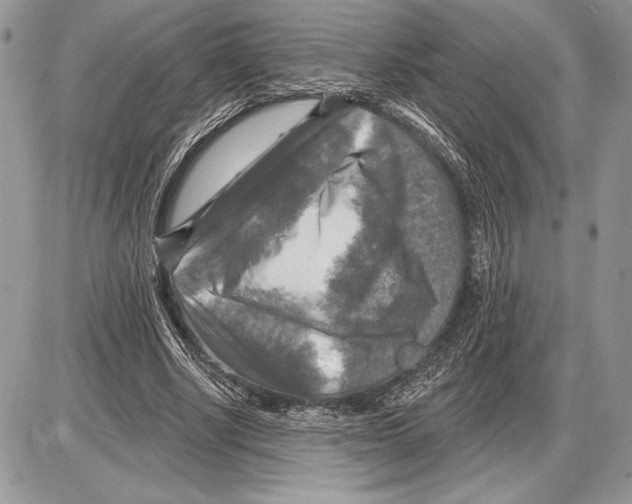 X0000085770634200704131804