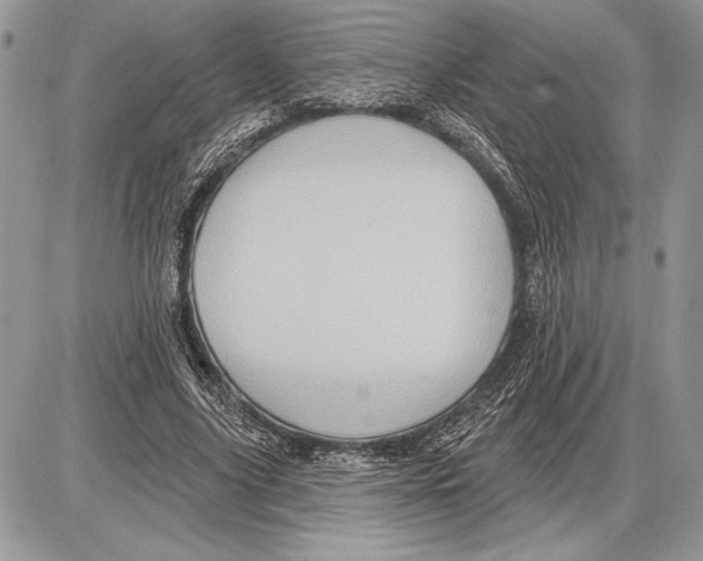 X0000085770635200704131804