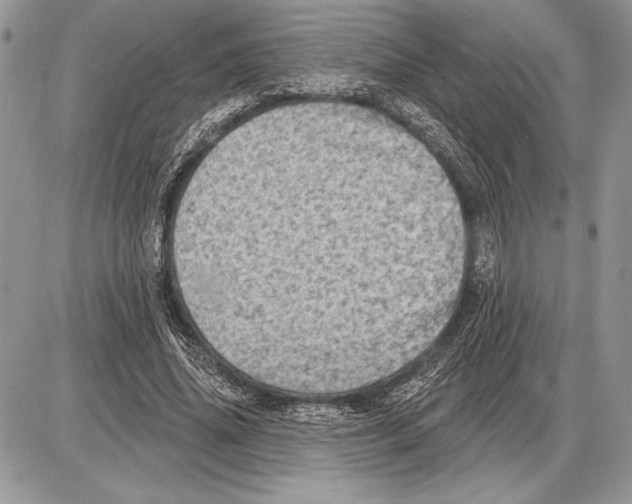 X0000085770636200704131804