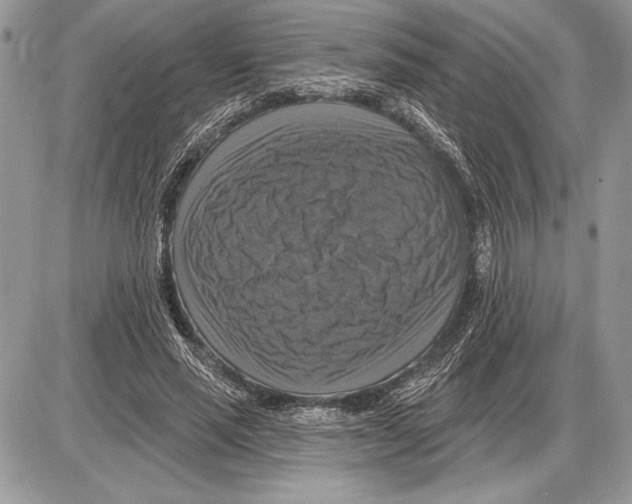 X0000085770637200704131804