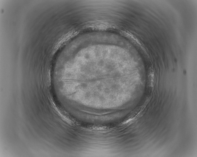 X0000085770638200704131804