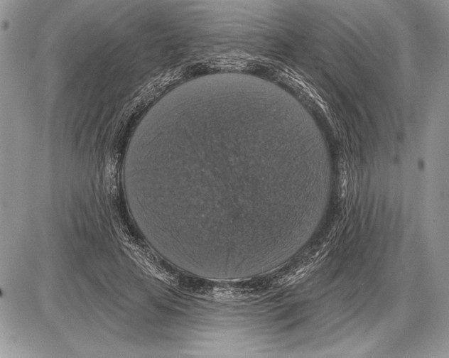 X0000085770641200704131804