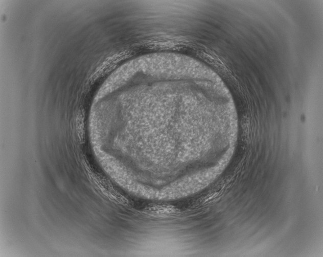 X0000085770642200704131804