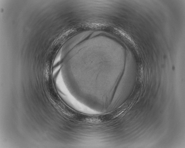 X0000085770644200704131804