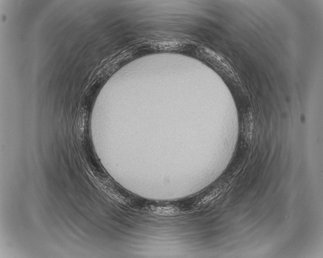 X0000085770645200704131804