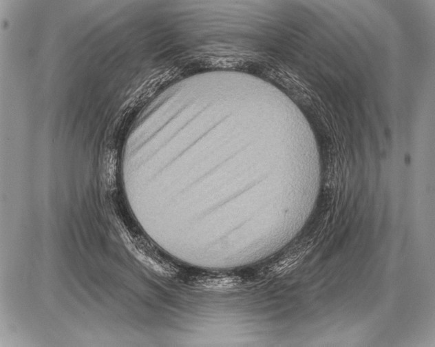 X0000085770646200704131804