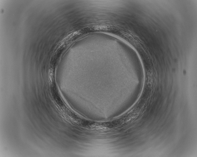 X0000085770648200704131804