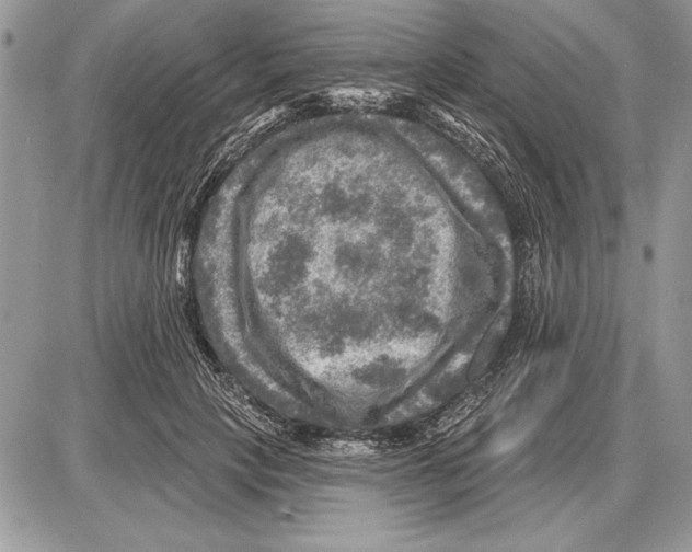 X0000085770649200704131804