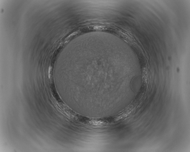 X0000085770650200704131804