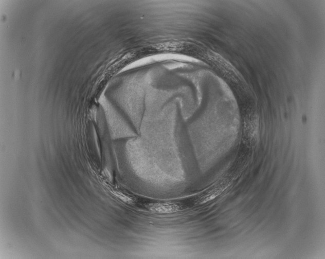 X0000085770652200704131804