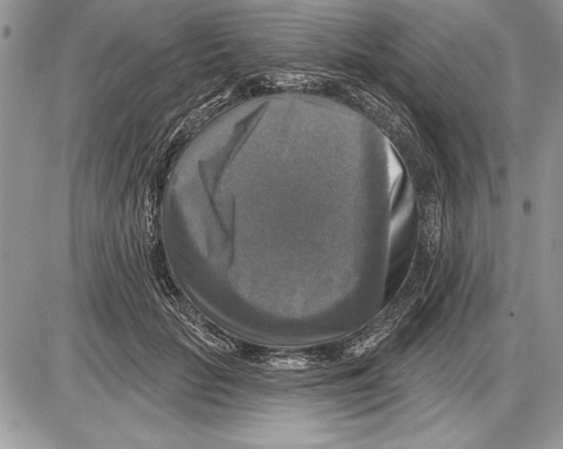 X0000085770653200704131804