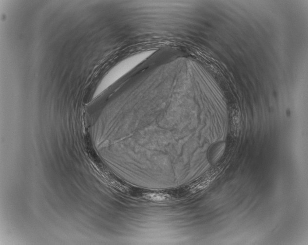 X0000085770654200704131804