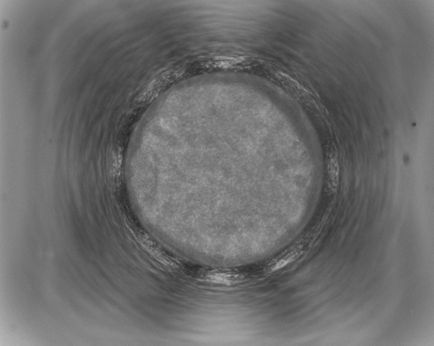 X0000085770657200704131805