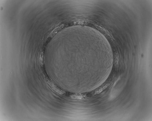 X0000085770661200704131805