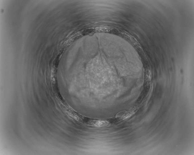 X0000085770663200704131805