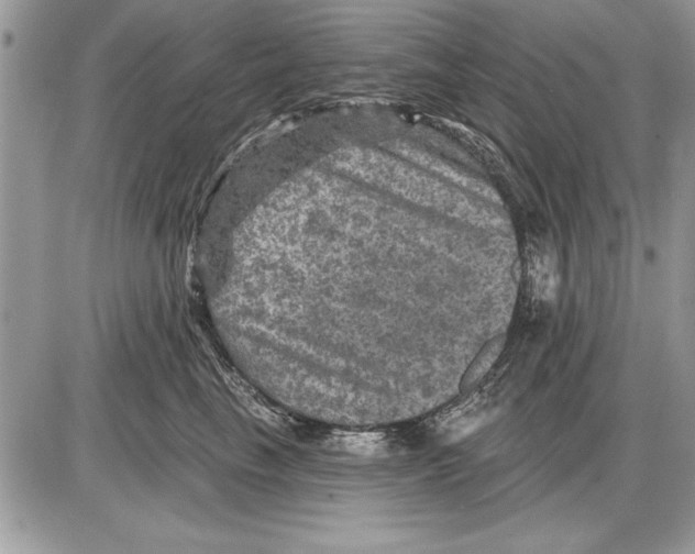 X0000085770665200704131805