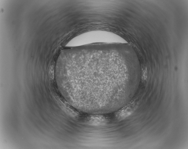 X0000085770666200704131805