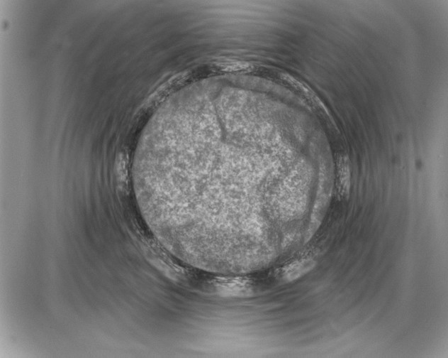 X0000085770667200704131805