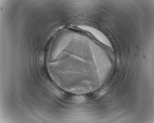 X0000085770668200704131805