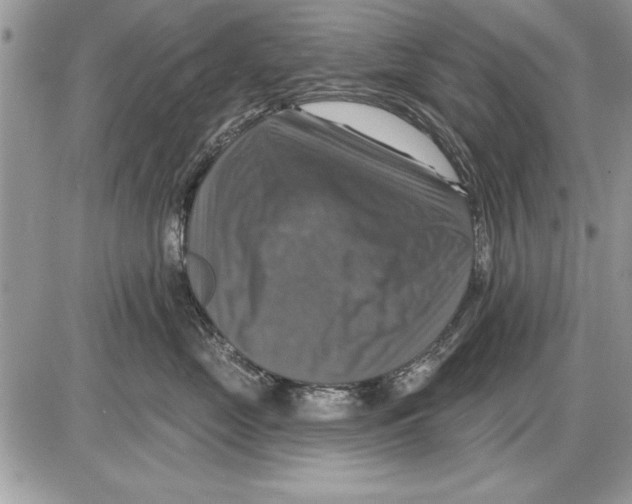 X0000085770669200704131805