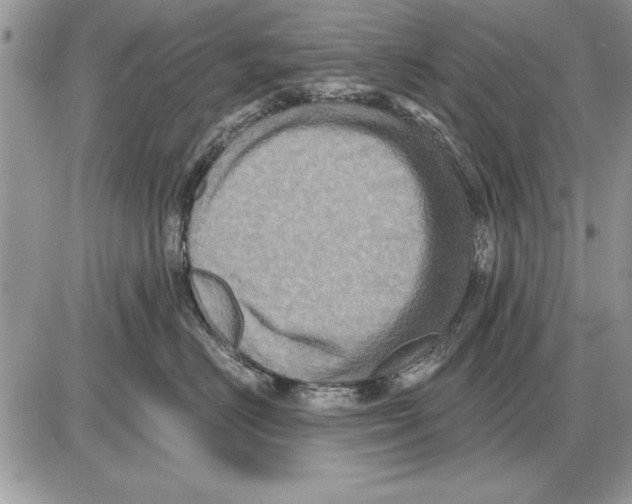 X0000085770670200704131805