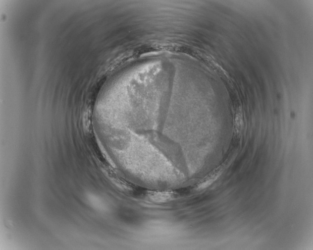 X0000085770671200704131805