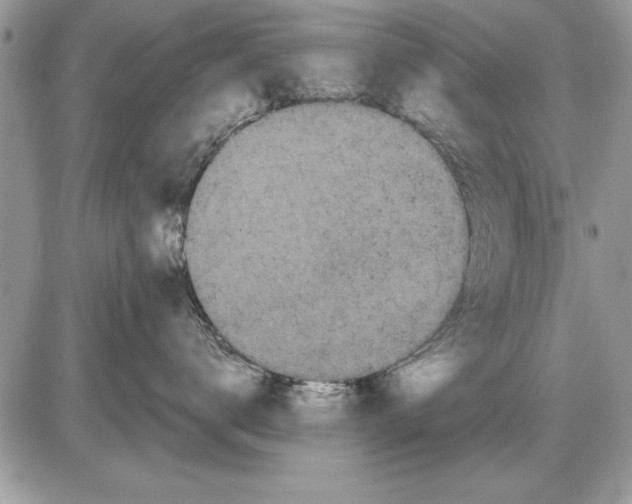 X0000085770672200704131805