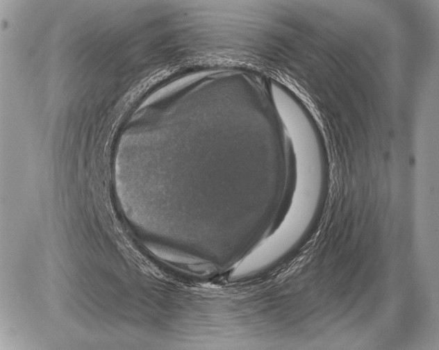 X0000085770673200704131804