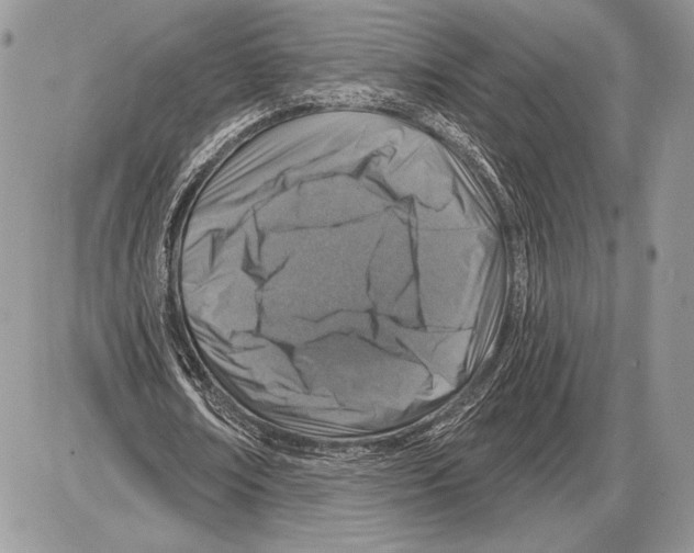 X0000085770674200704131804