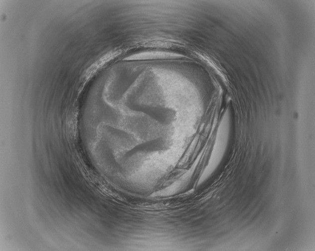 X0000085770675200704131804