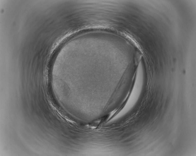 X0000085770676200704131804