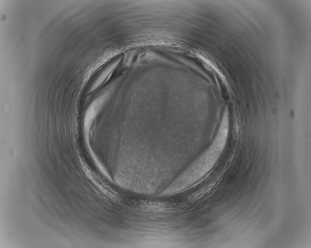 X0000085770677200704131804