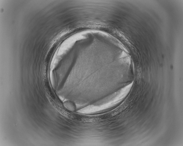 X0000085770679200704131804