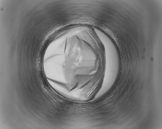 X0000085770680200704131804