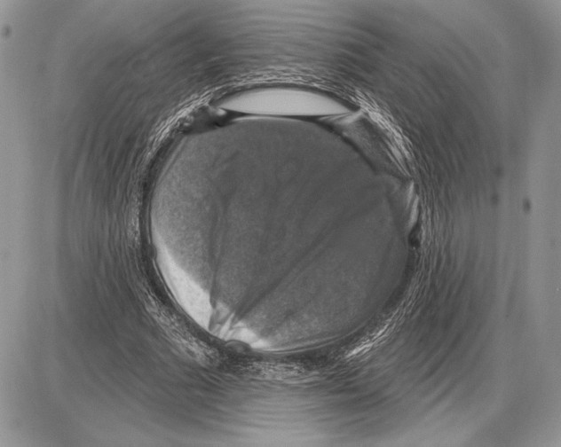 X0000085770681200704131804