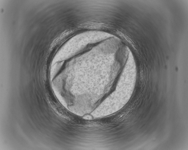 X0000085770682200704131804