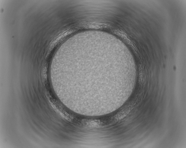 X0000085770683200704131804